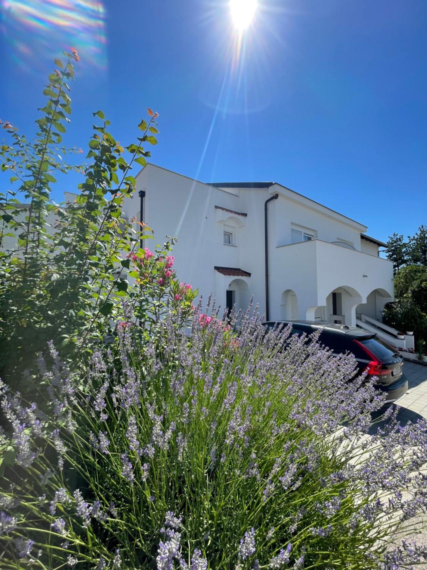 Guest House Sulek Punat Exterior photo
